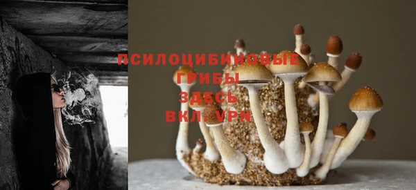 PSILOCYBIN Вязники
