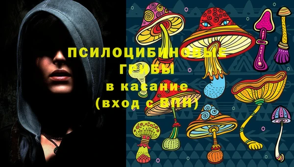 PSILOCYBIN Вязники