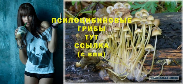 PSILOCYBIN Вязники