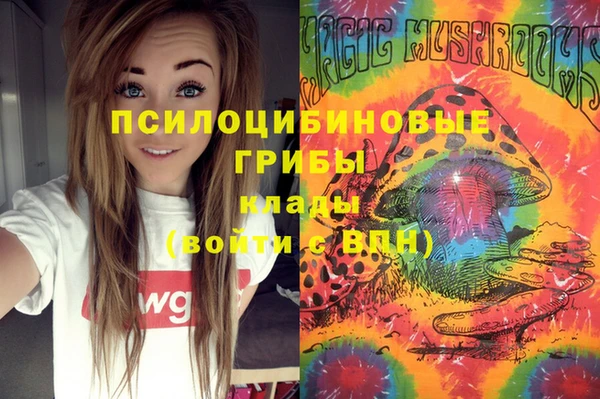 таблы Вяземский