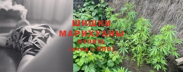 PSILOCYBIN Вязники