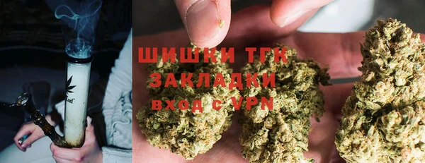 PSILOCYBIN Вязники