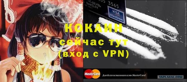 PSILOCYBIN Вязники