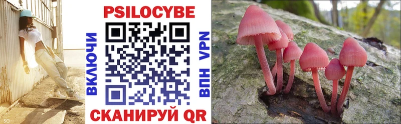Псилоцибиновые грибы Cubensis  Купить где  Сатка 
